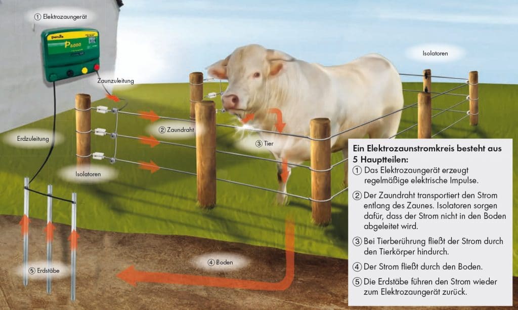 Elektrozaun Infografik