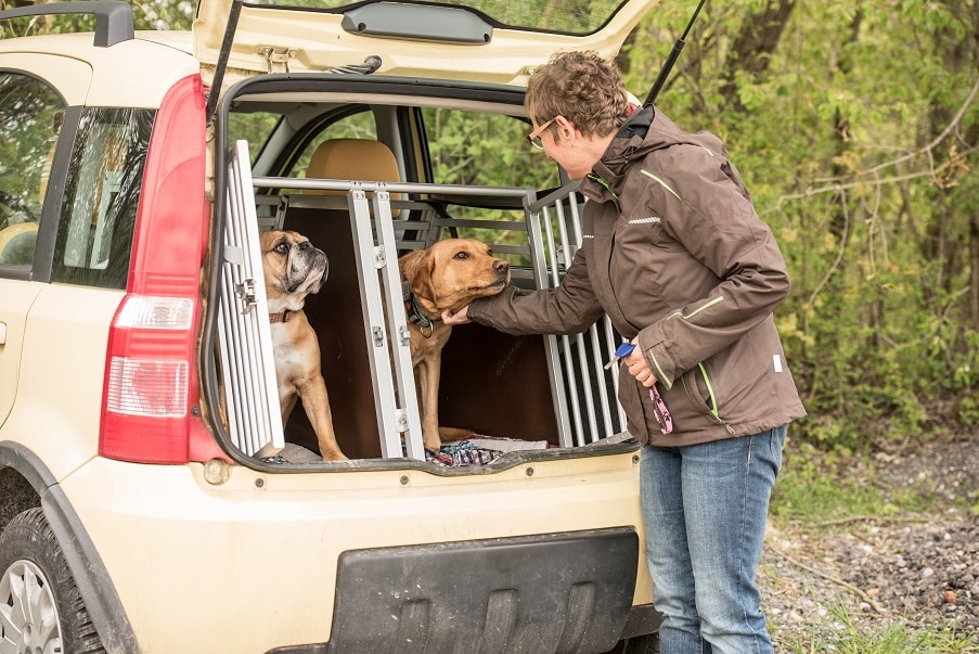 Hunde Autositz - kleinere Hunde sicher im Auto mitnehmen